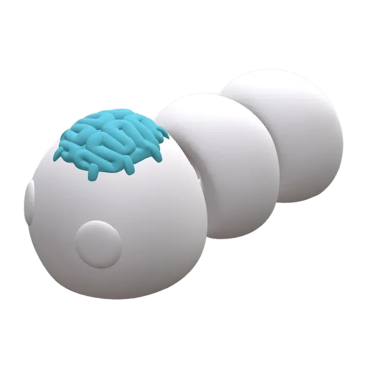 Brain Top Accessories option