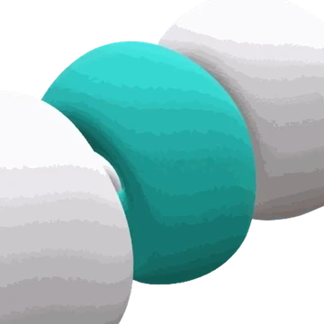 Base Segment Type option