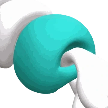 Flex Bottom Type option