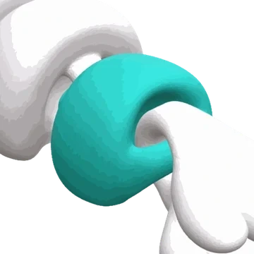 Mini Flex Bottom Type option