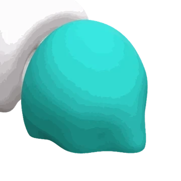 Snail Bottom Type option