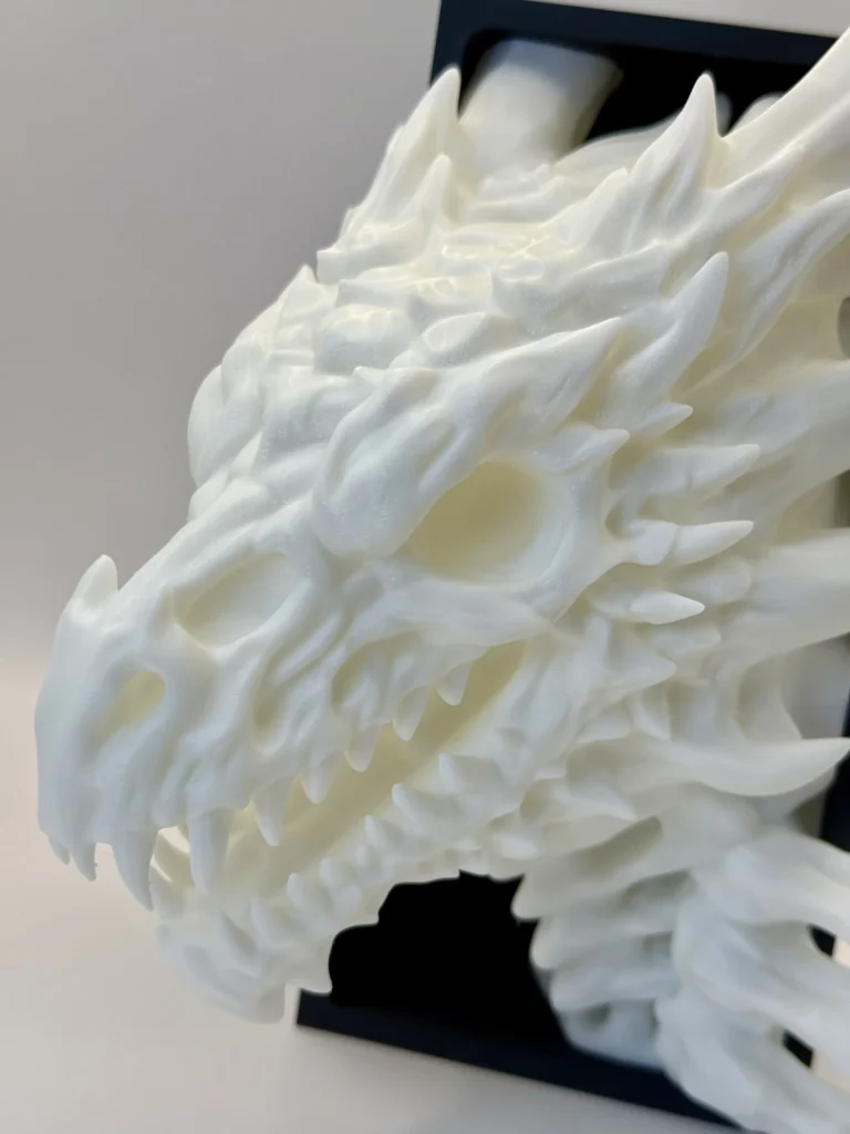 Skeletal Dragon Book Nook